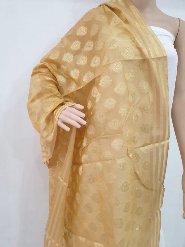 Natural golden bagru print pure cotton Jakard golden work dupatta