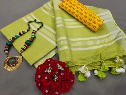 Lime Handloom cotton Linen saree with printed cotton blouse