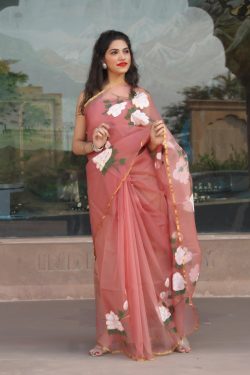 Light Coral organza saree with blouse